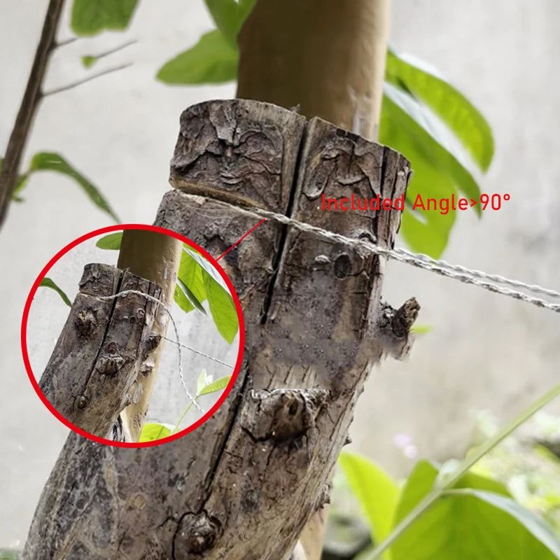 S9091e13ad713421daa4f54c217d6d3ceF